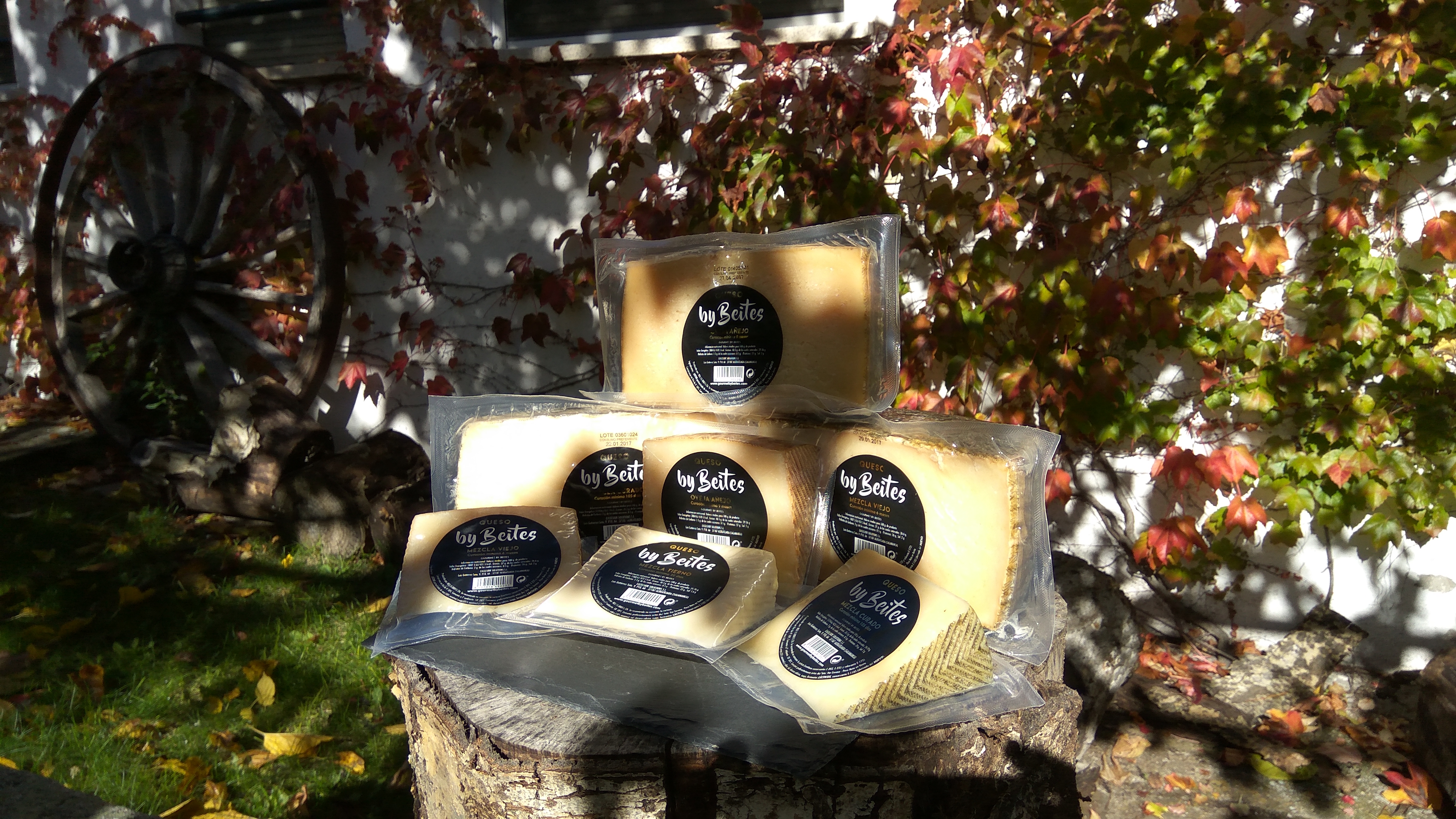 gourmetbybeites-queso-oveja-anejo-mezcla-tierno-viejo
