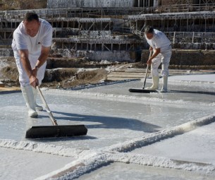 gourmetbybeites-sal-anana-flor-escama-artesanal-ecologica-produccion-1